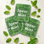Flavor Cores Product - Spearmint Ice Cores Bundle